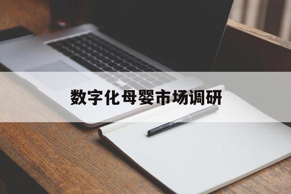 黄冈市数字化母婴市场调研(数字化母婴市场调研报告)
